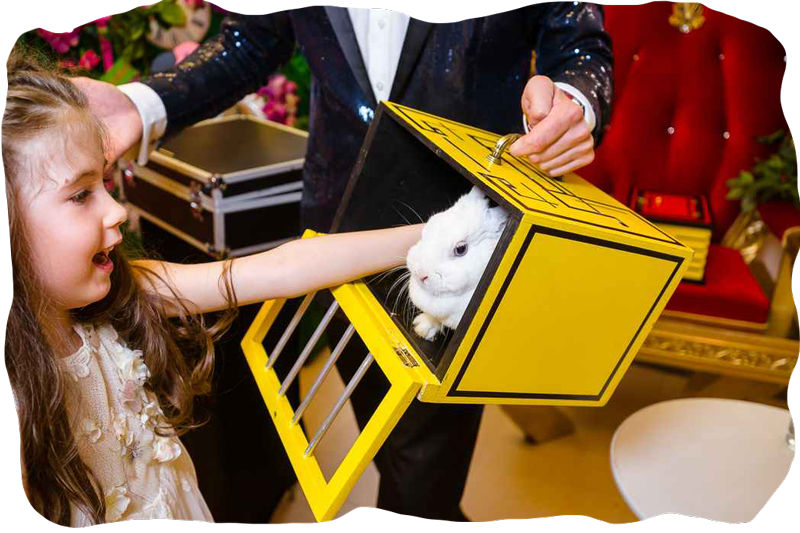 Animal Magic Show